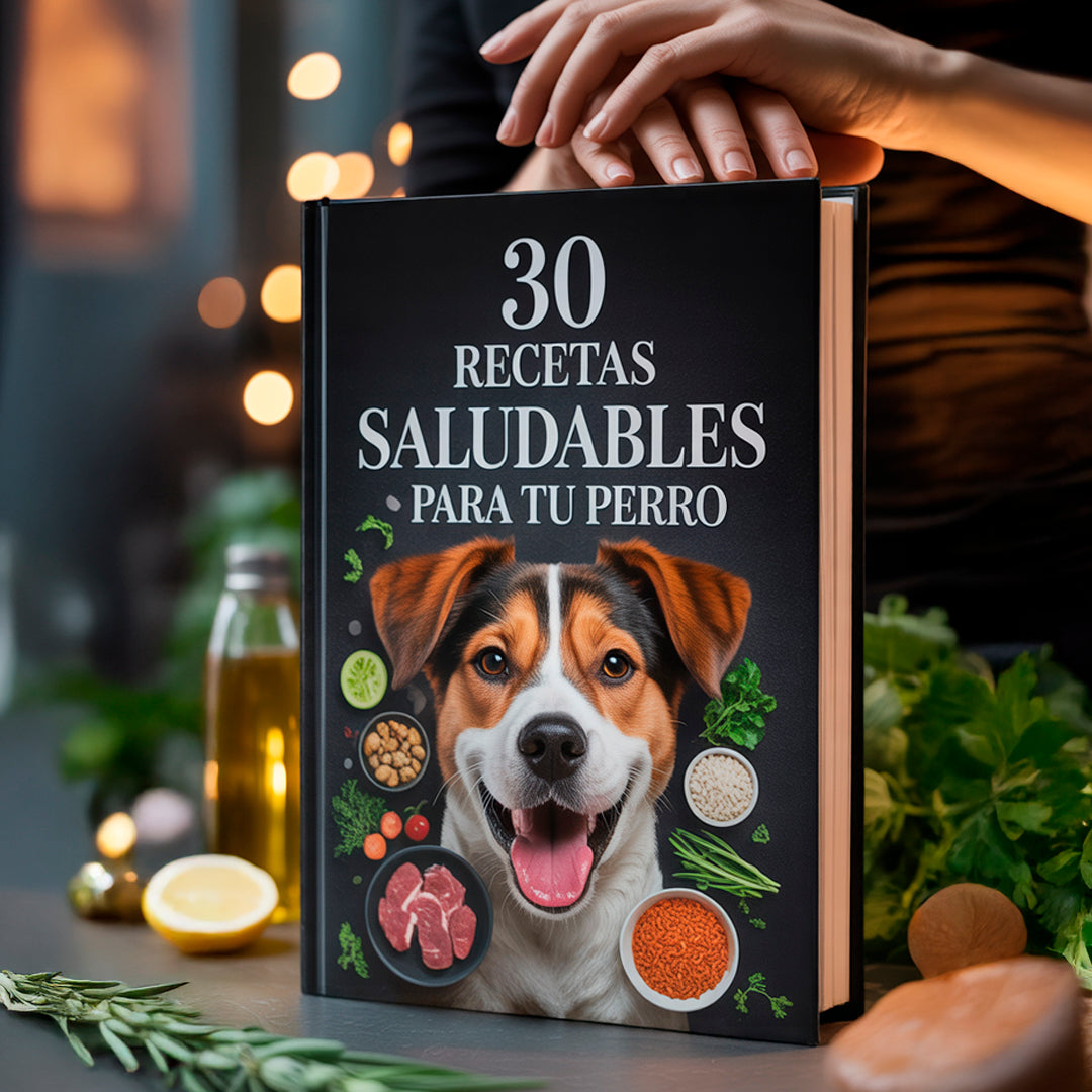 30 recetas saludables para tu perro
